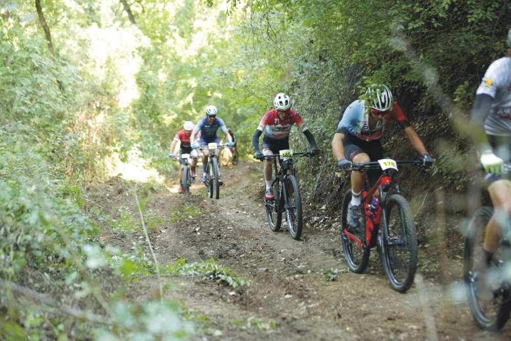 Gruppo di biker su un single track nel bosco