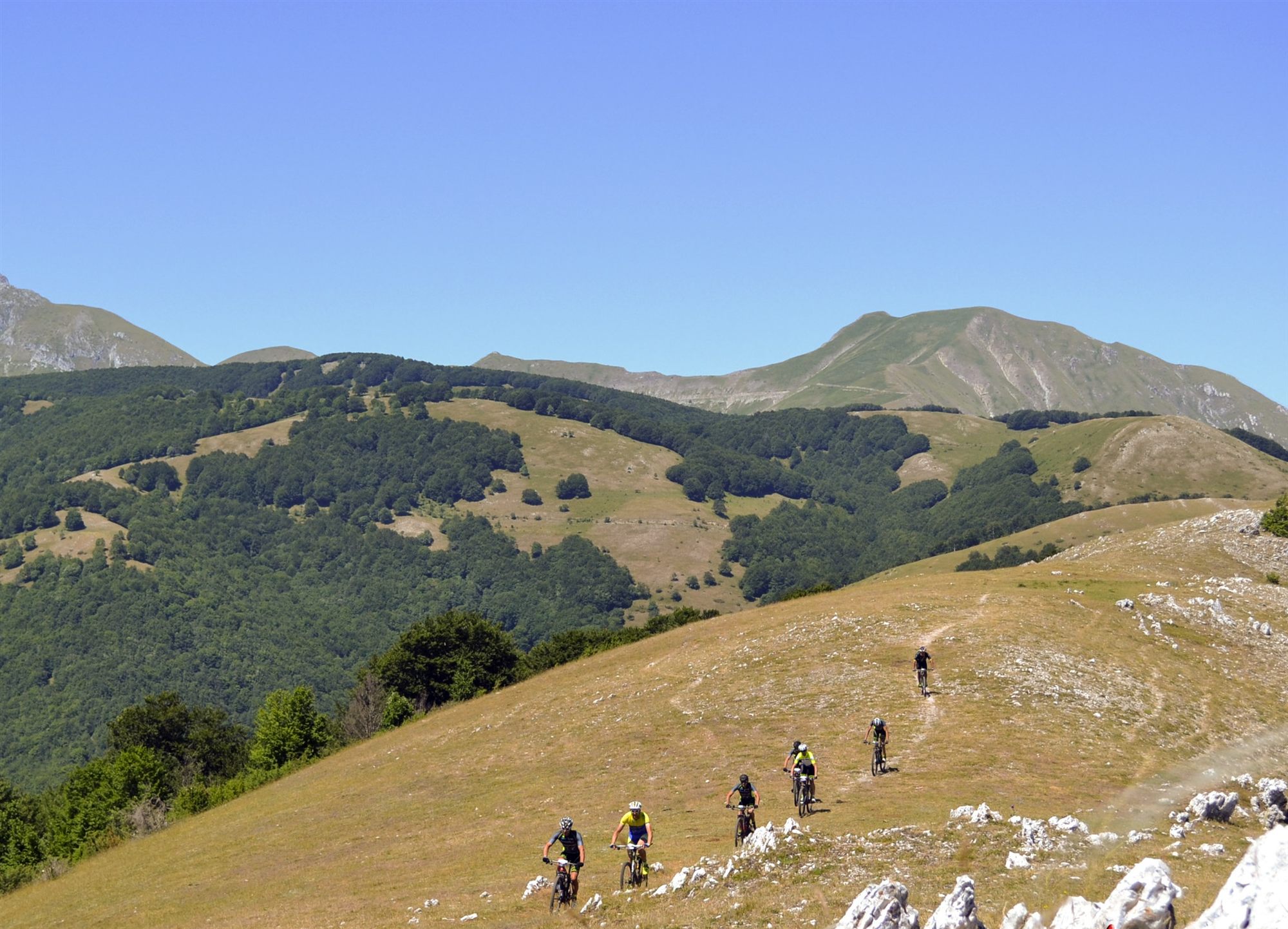 Una fila di biker su un prato d'alta quota